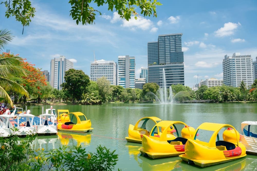 Swan and duck-shaped paddle boats on the main lake at Lumpini Park in Bangkok.